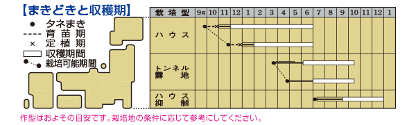 オクラ アーリーファイブ
