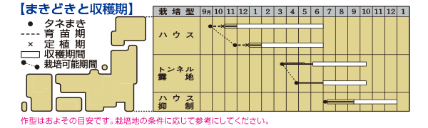 オクラ グリーンソード
