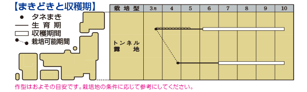 オクラ エメラルド