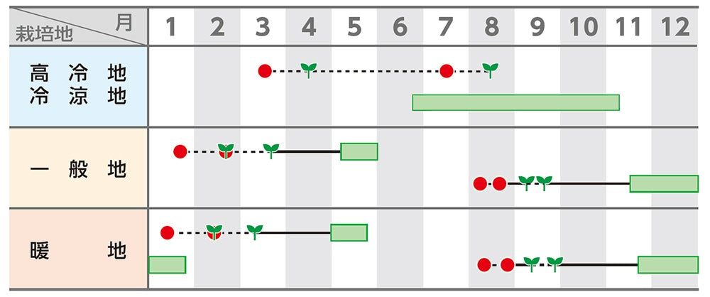 ブロッコリー 「おはよう®」