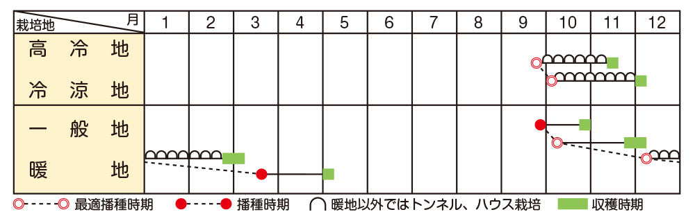 ホウレンソウ「ピンドン®」