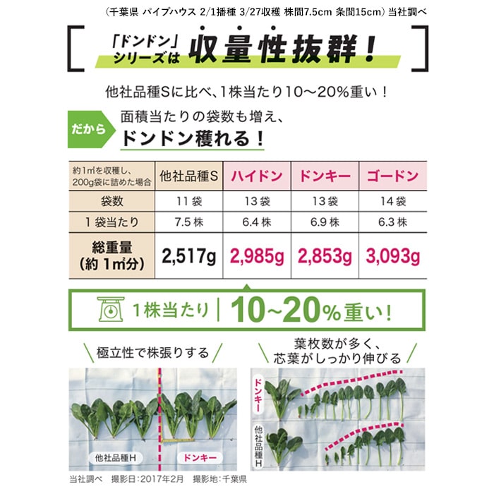 ホウレンソウ「ピンドン®」