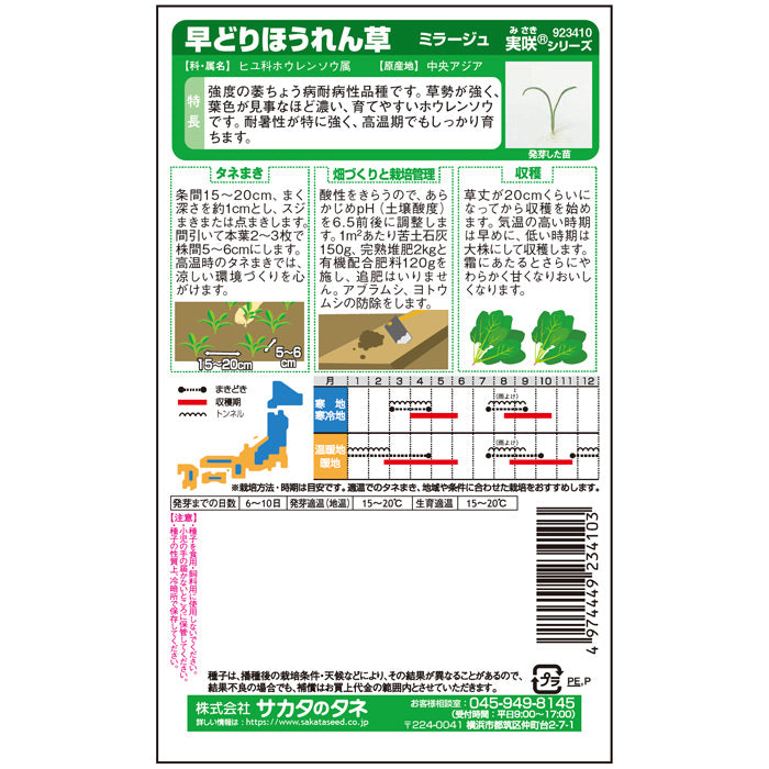 ホウレンソウ 「ミラージュ」