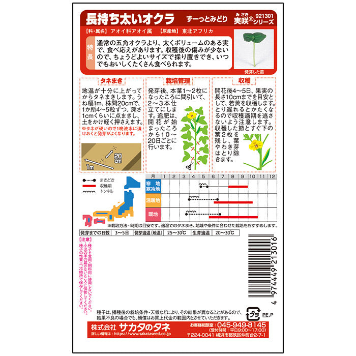 オクラ 「ずーっとみどり」