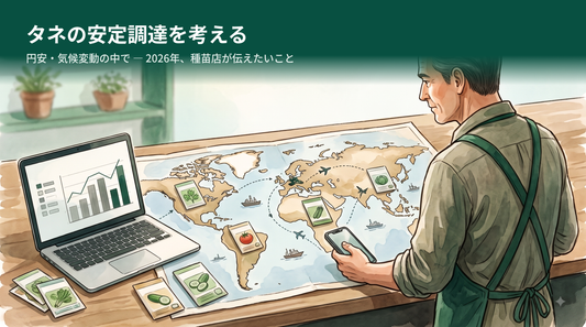 日本の野菜のタネ、実は9割が海外生産 ― 円安・気候変動の中で考える、安定調達のこれから