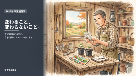 種袋の表示と品種登録の書類を確かめる様子
