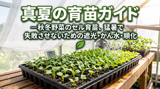 真夏の育苗ガイド ― 秋冬野菜のセル育苗を、猛暑で失敗させないための遮光・かん水・順化
