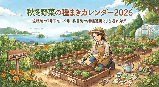 秋冬野菜の種まきカレンダー2026 ― 温暖地の7月下旬〜9月、品目別の播種適期とまき遅れ対策