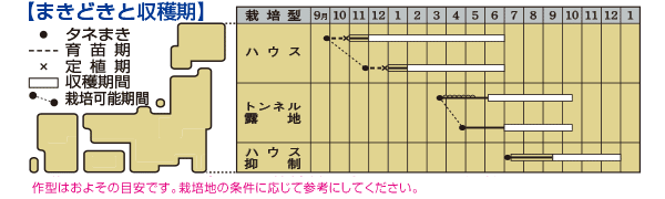 オクラ ベターファイブ