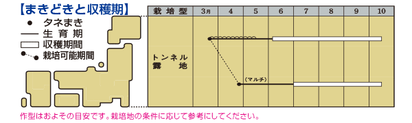 オクラ ヘルシエ