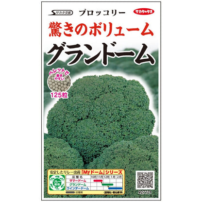 ブロッコリー グランドーム