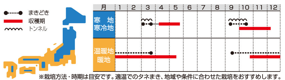 ホウレンソウ 「クロノス」