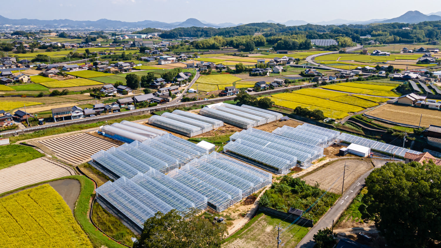 ビニールハウス建設 – 常谷種苗園芸株式会社