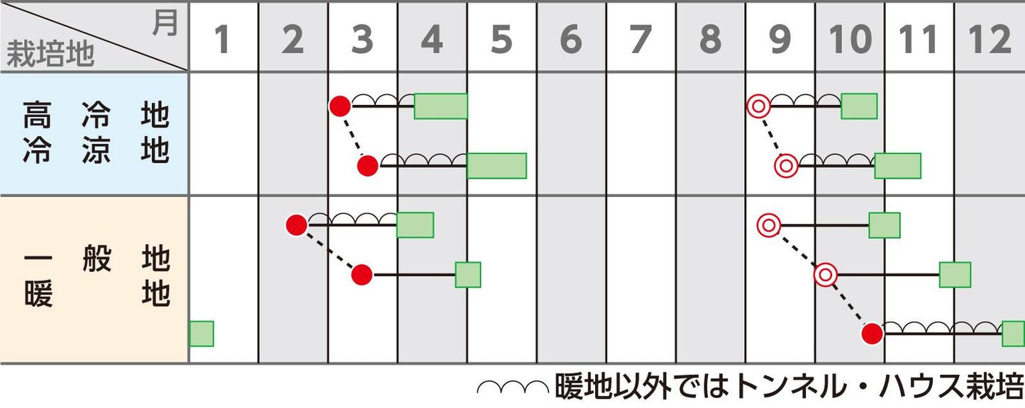 ホウレンソウ 「プログレス」