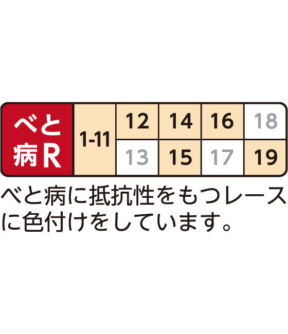 ホウレンソウ 「タフスカイ®」